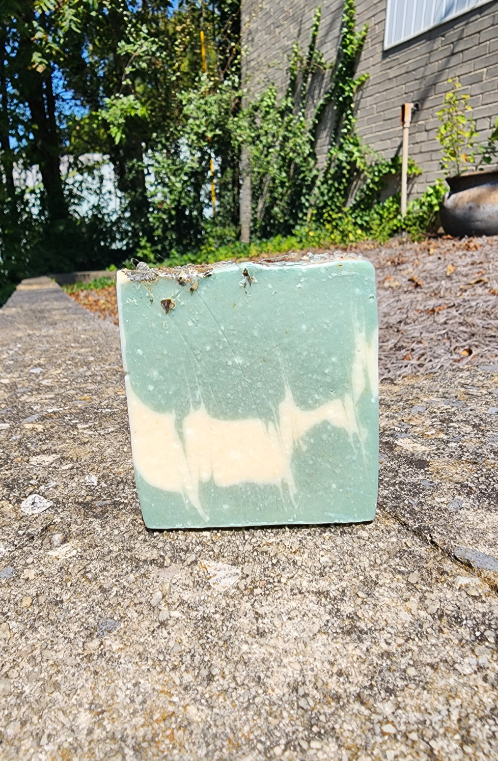 Frosted Peppermint | beef tallow soap| Peppermint & Eucalyptus Essential Oil soap