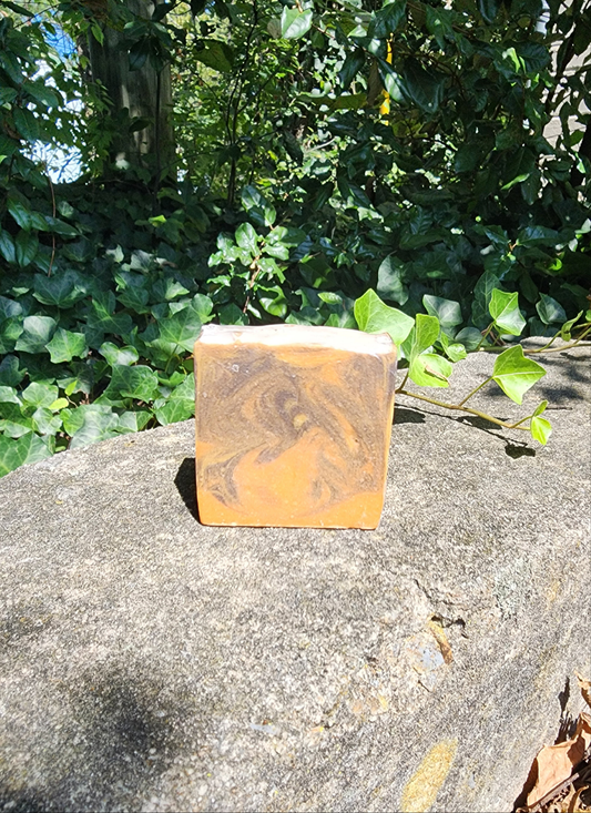 🍂 Falling for Fall – Handmade Goat’s Milk Soap Bar| Beef tallow soap
